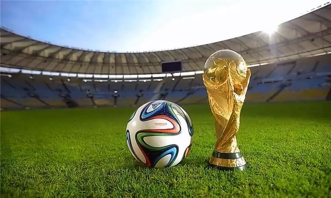 穆雷谈退役后的生活（穆雷畅谈退役生活）